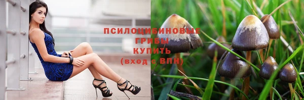 марки nbome Кукмор