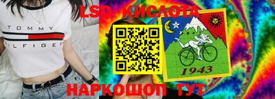 кокс Кингисепп