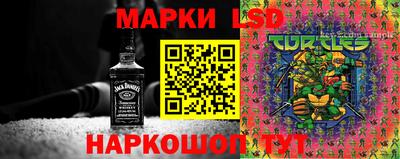 спиды Кимры