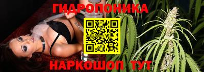 кокс Кингисепп