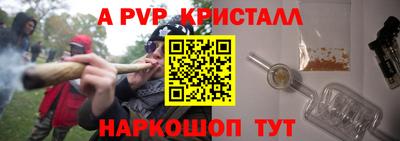 спиды Кимры