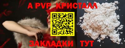 кокс Кингисепп