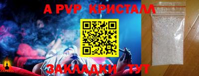 кокс Кингисепп
