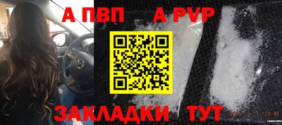 кокс Кингисепп