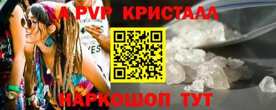 кокс Кингисепп