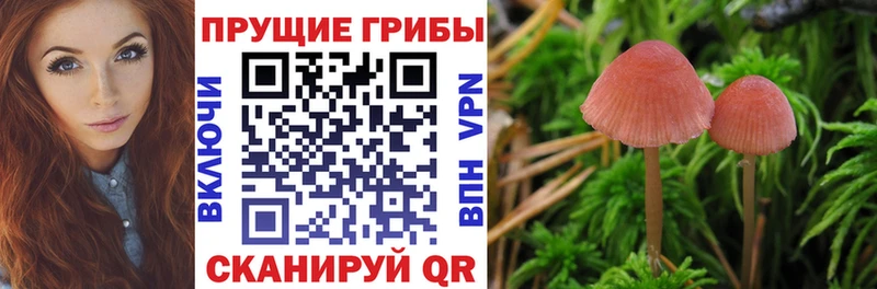 Галлюциногенные грибы мицелий  Октябрьский 