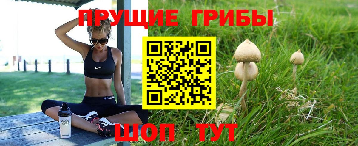 Галлюциногенные грибы прущие грибы Октябрьский
