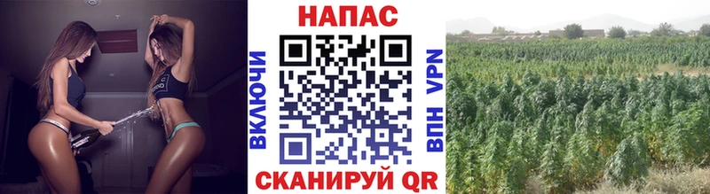 где купить наркоту Октябрьский Бошки марихуана ГИДРОПОН